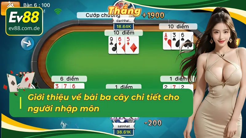 Bài ba cây và những thông tin cơ bản cần nắm