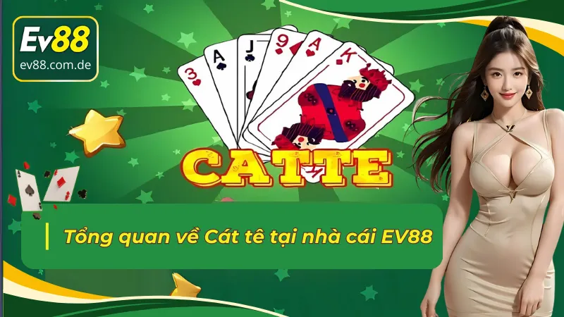 Cát Tê EV88 và những thông tin đáng chú ý