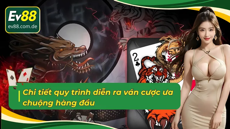 Quy trình chi tiết tựa game rồng hổ