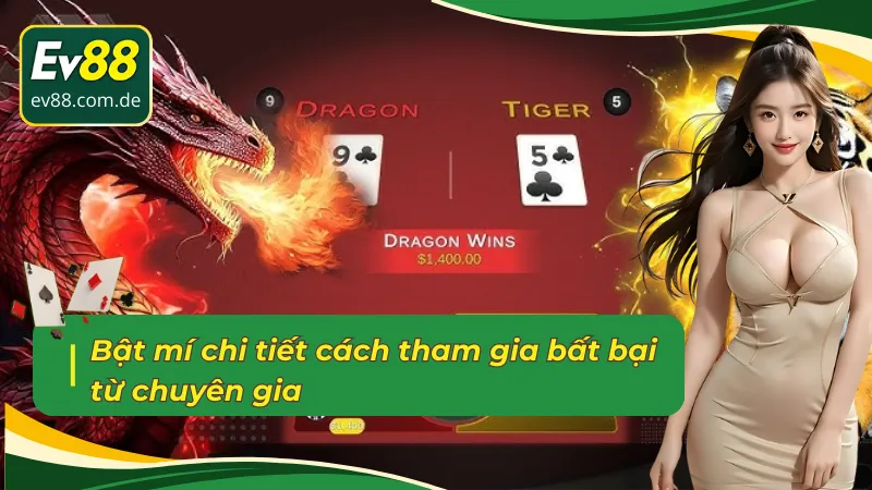 Khám phá cách chơi rồng hổ bất bại
