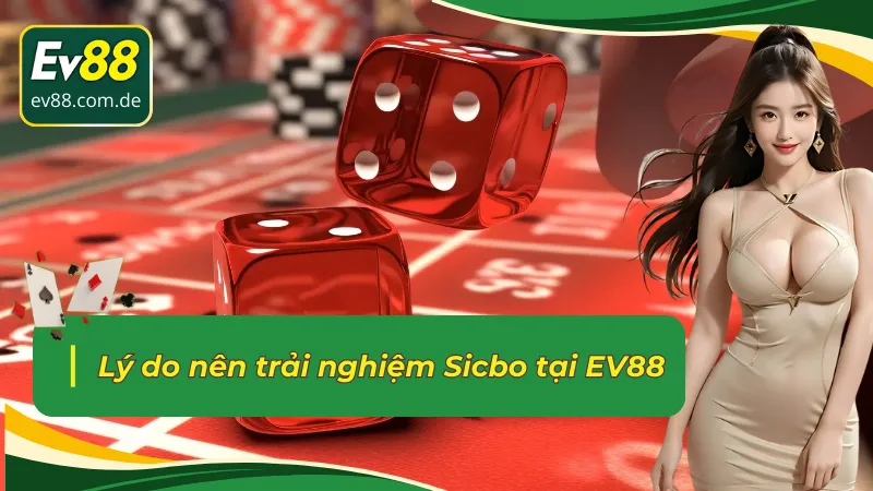 Sức hút và quyền lợi khi chơi Tài Xỉu tại nhà cái EV88